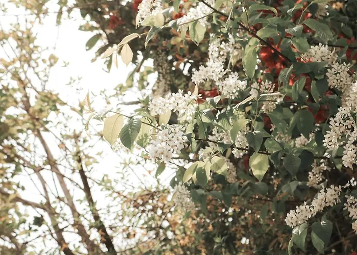 Modern Maisonette With Big Garden In Apartment Graz